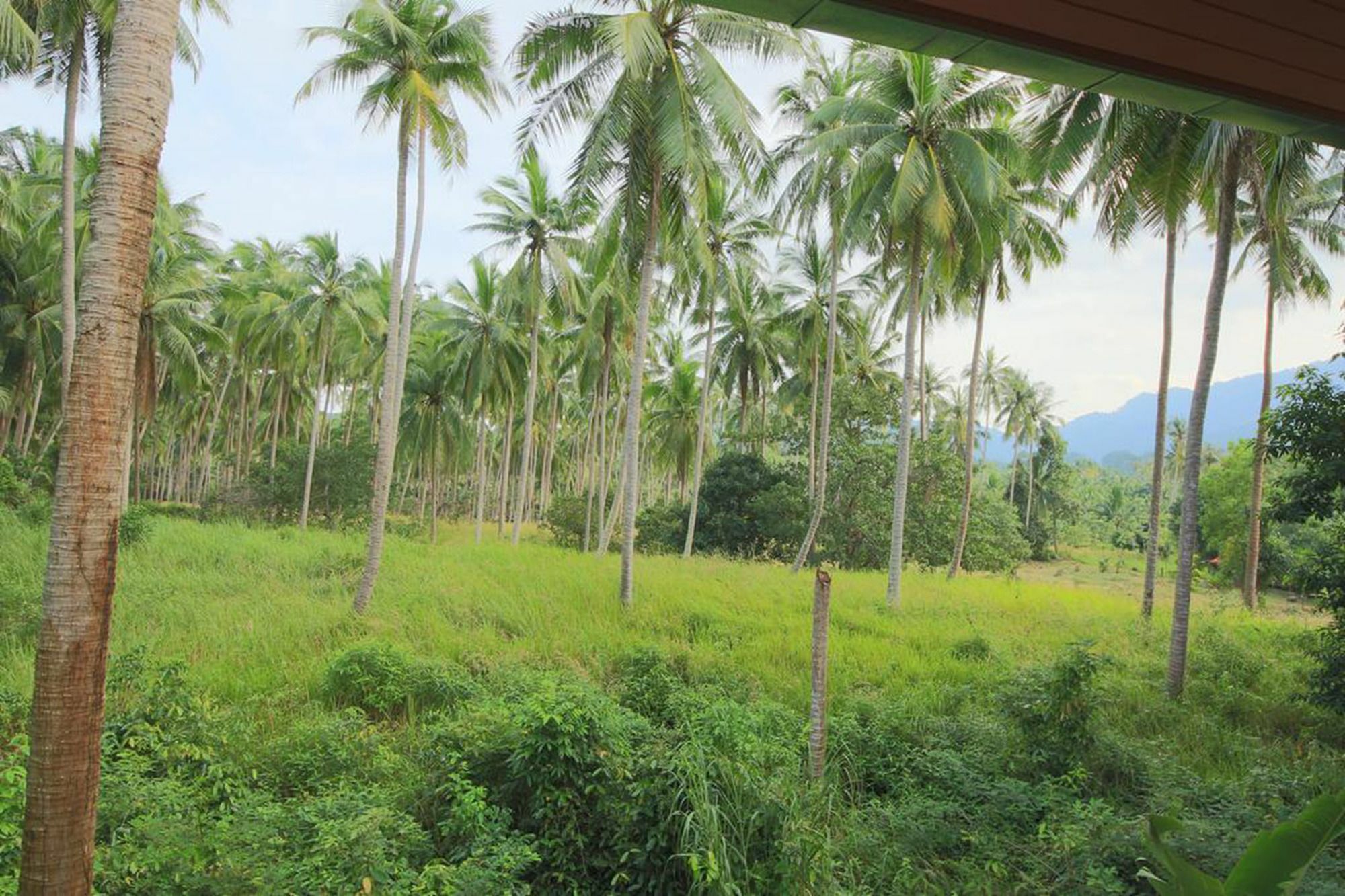 Tropical Season Villa Resort Mae Nam Exterior photo